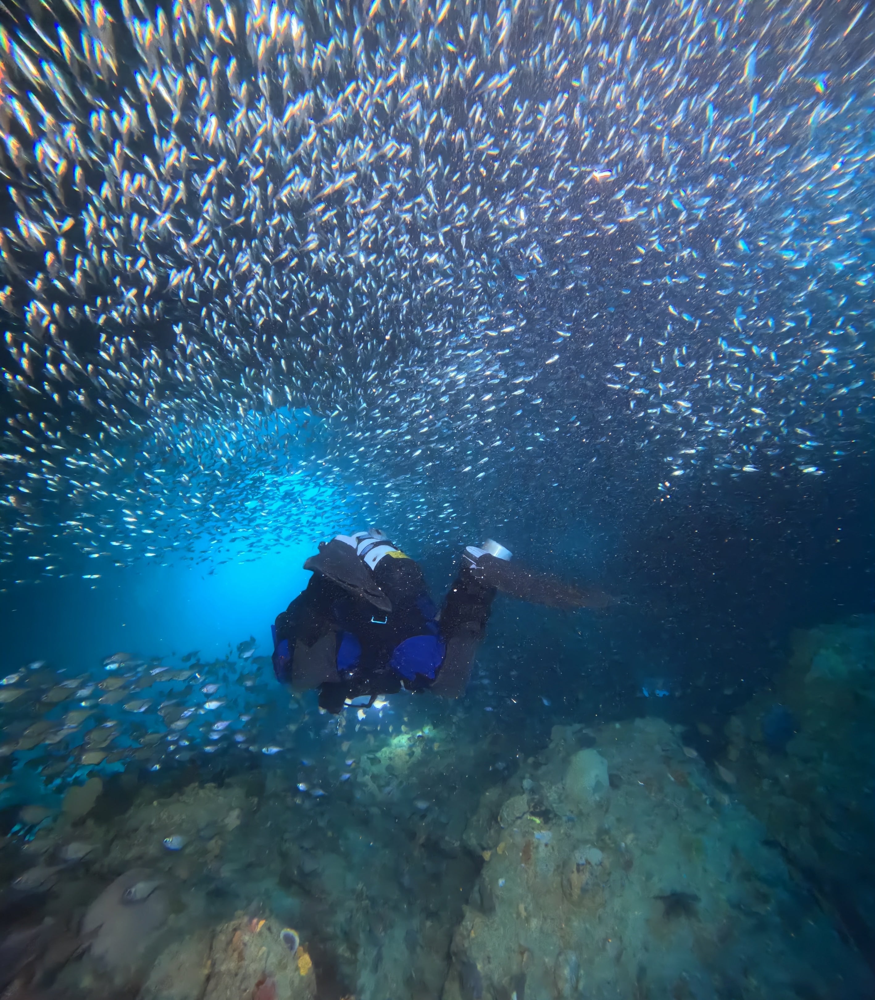 Best Back-Up Dive Torches: Stay Safe On Every Dive