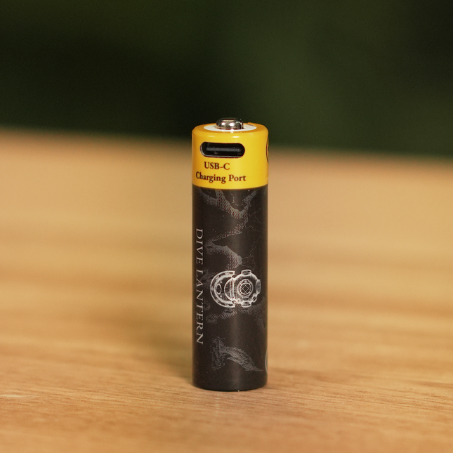 14500 battery with USB-C charging port