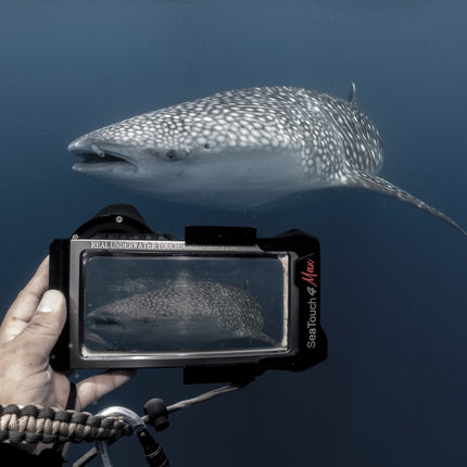 EX DEMO SeaTouch 4 Max Plus (Black)